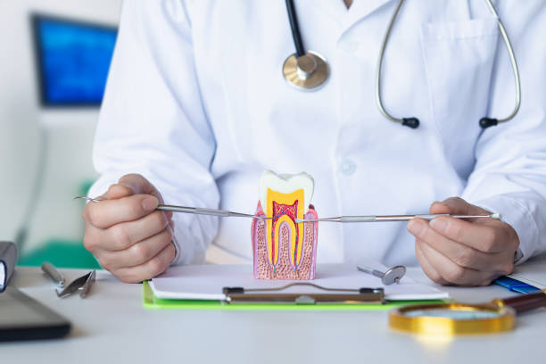 Best Emergency Dentist for Knocked-Out Tooth in Berne, IN
